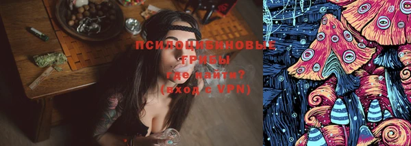 мдпв Ростов
