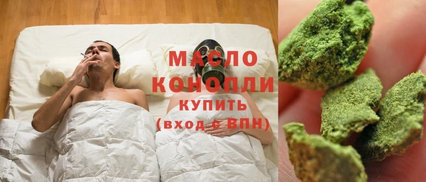 амф Бородино