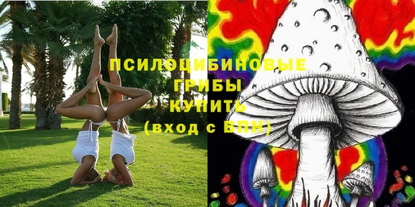 МДПВ Абинск