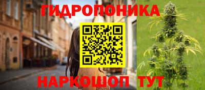 PSILOCYBIN Малгобек