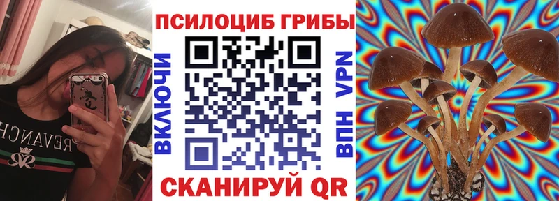 купить наркотик  Бугуруслан  Галлюциногенные грибы MAGIC MUSHROOMS 