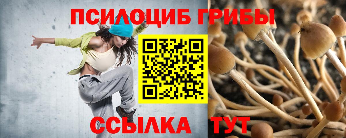 Бугуруслан  Псилоцибиновые грибы мухоморы  Вход с VPN 